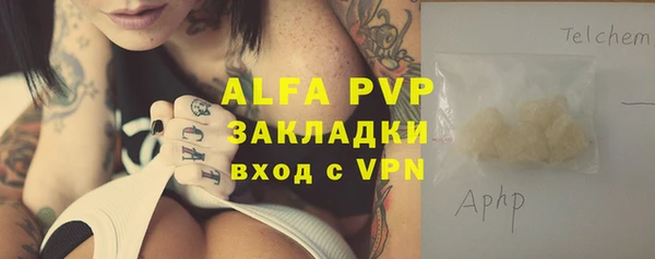 сатива Липки