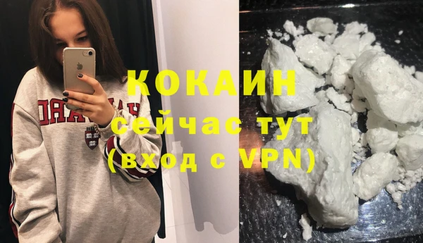 сатива Липки
