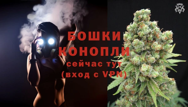 сатива Липки