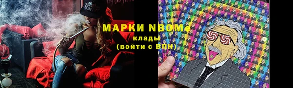 сатива Липки