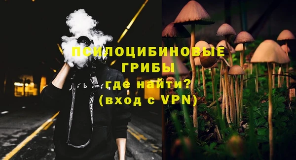 МДПВ Лихославль
